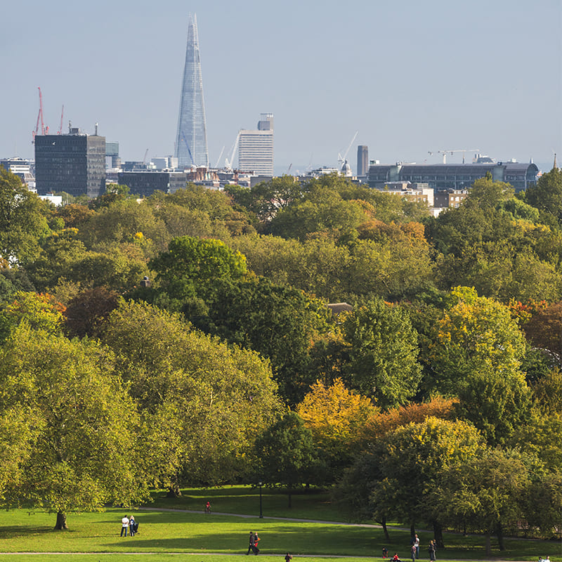 London skyline green park