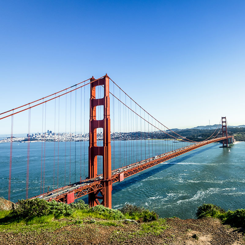 Golden Gate - A green view of San Francisco