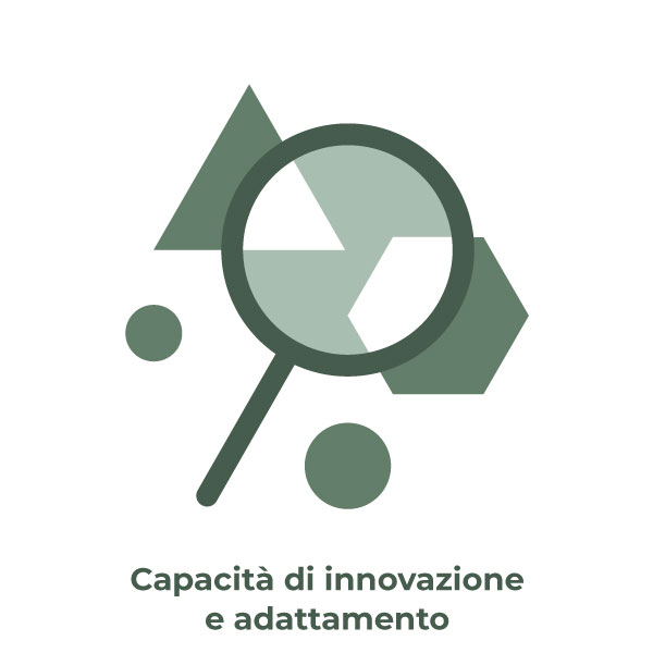 Capacità di innovazione