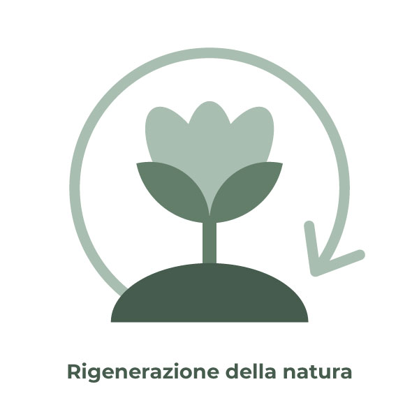 rigenerazione natura